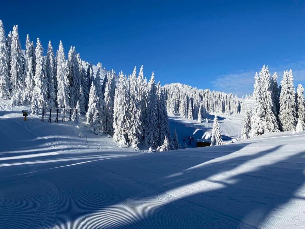 Villa Olimpik House Jahorina Exterior foto