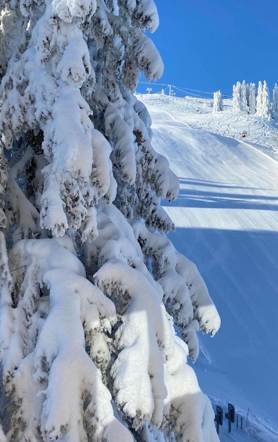 Villa Olimpik House Jahorina Exterior foto